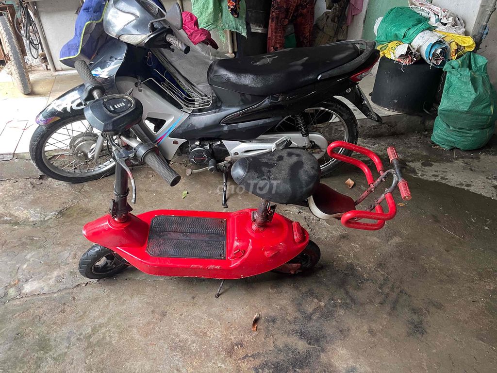 Xe m 2024 - ảnh 5