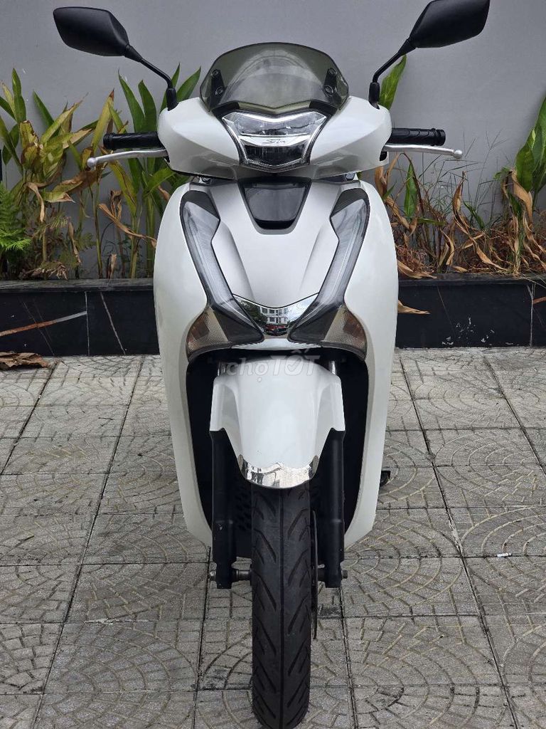 Honda SH - ảnh 2