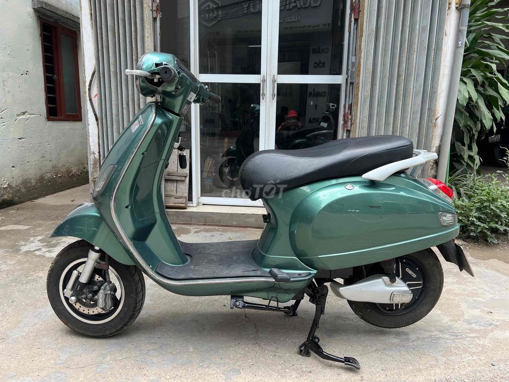Dibao Pansy 2022 - ảnh 1