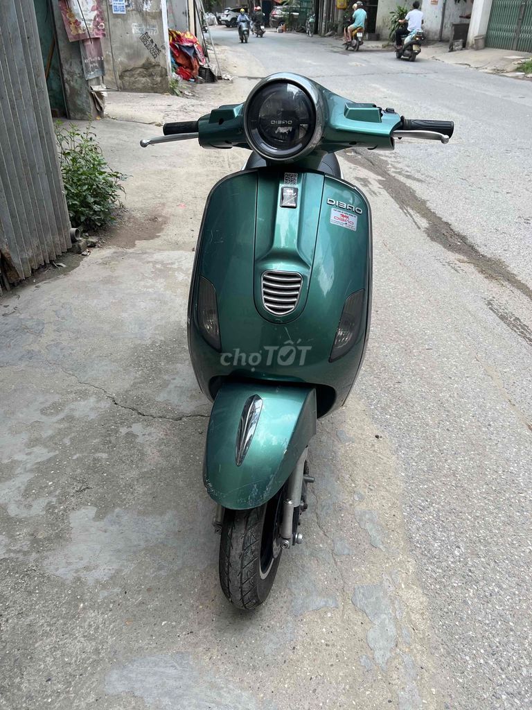 Dibao Pansy 2022 - ảnh 3