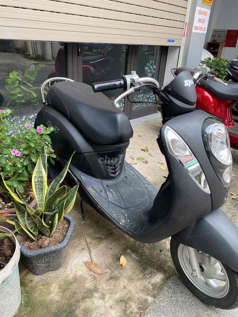 SYM Elite 2024 - ảnh 1