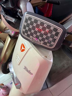 Xe m 2024 - ảnh 1