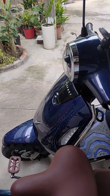 VinFast EVO 2025 - ảnh 1