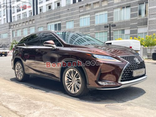 Lexus RX 300 2021 - ảnh 3