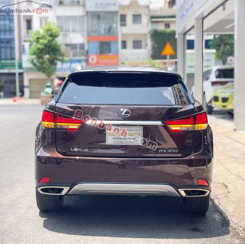 Lexus RX 300 2021 - ảnh 5