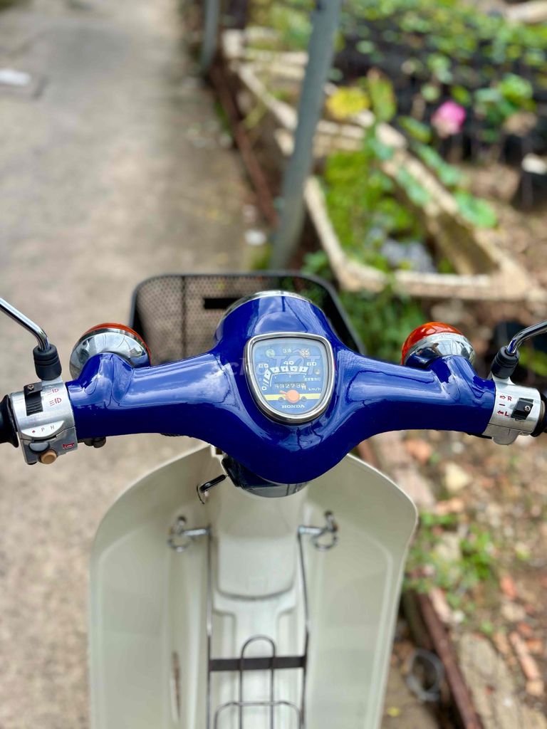 Honda Cub 1980 - ảnh 5