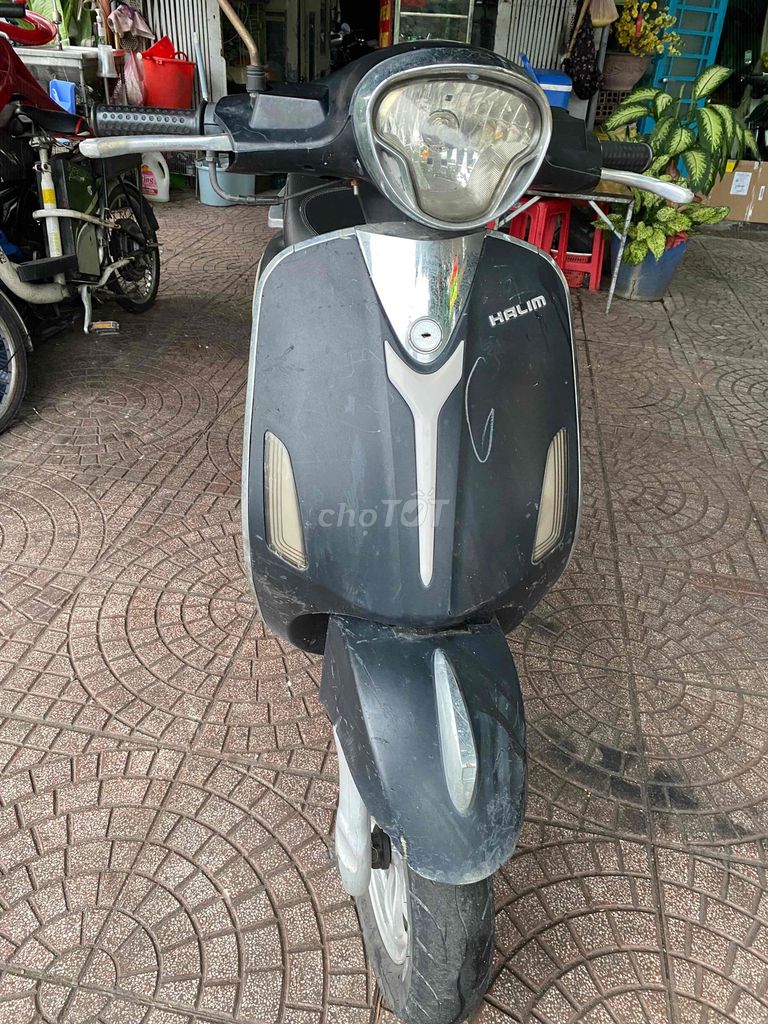 Halim Xe 2019 - ảnh 1