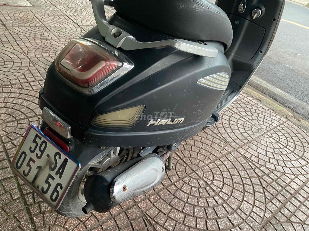 Halim Xe 2019 - ảnh 2