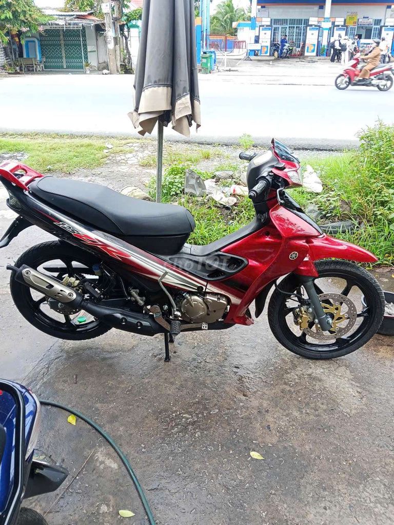 Yaz bao 2019 - ảnh 1