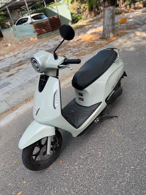 evo grand 2025 - ảnh 1