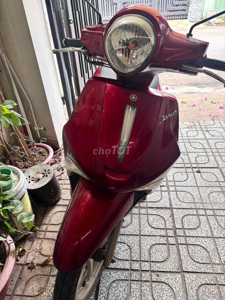 Yamaha Janus 2016 - ảnh 1