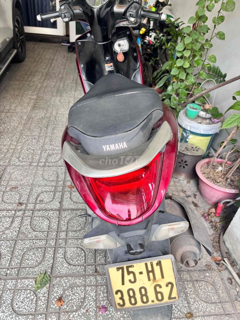 Yamaha Janus 2016 - ảnh 2