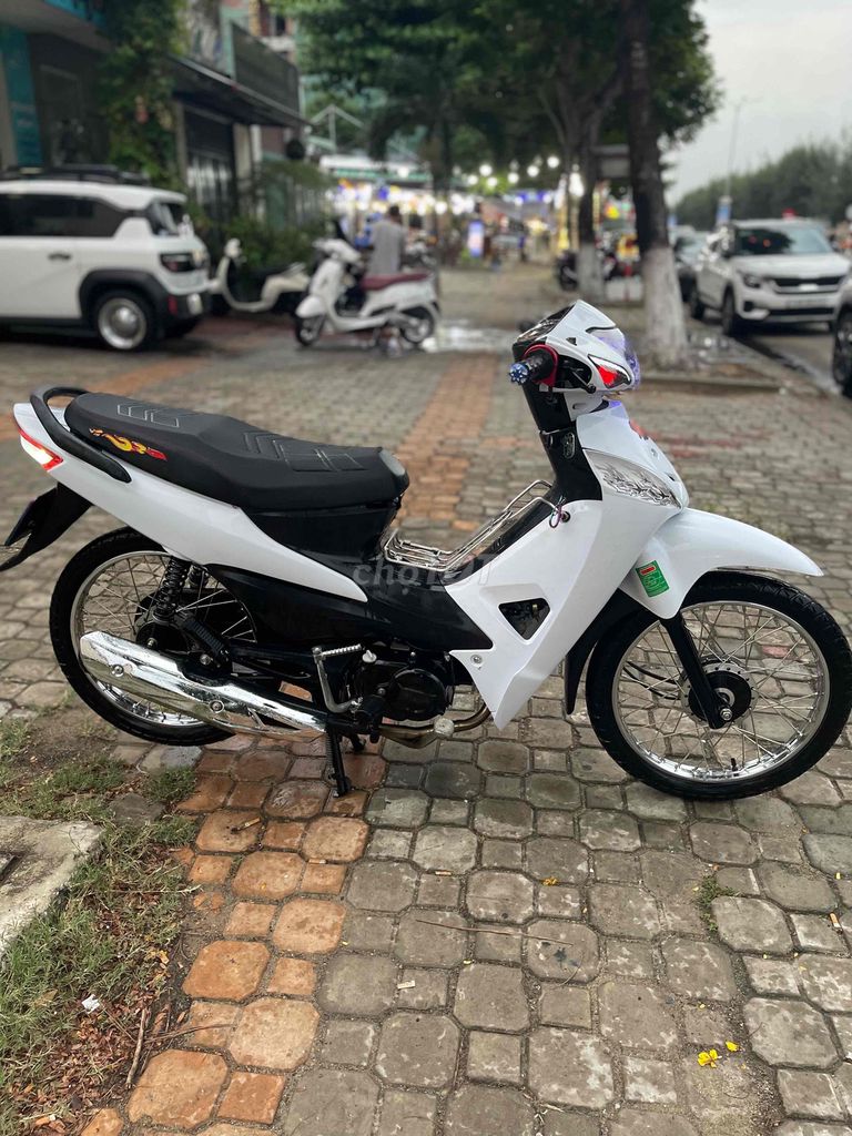 Wave 2025 - ảnh 5