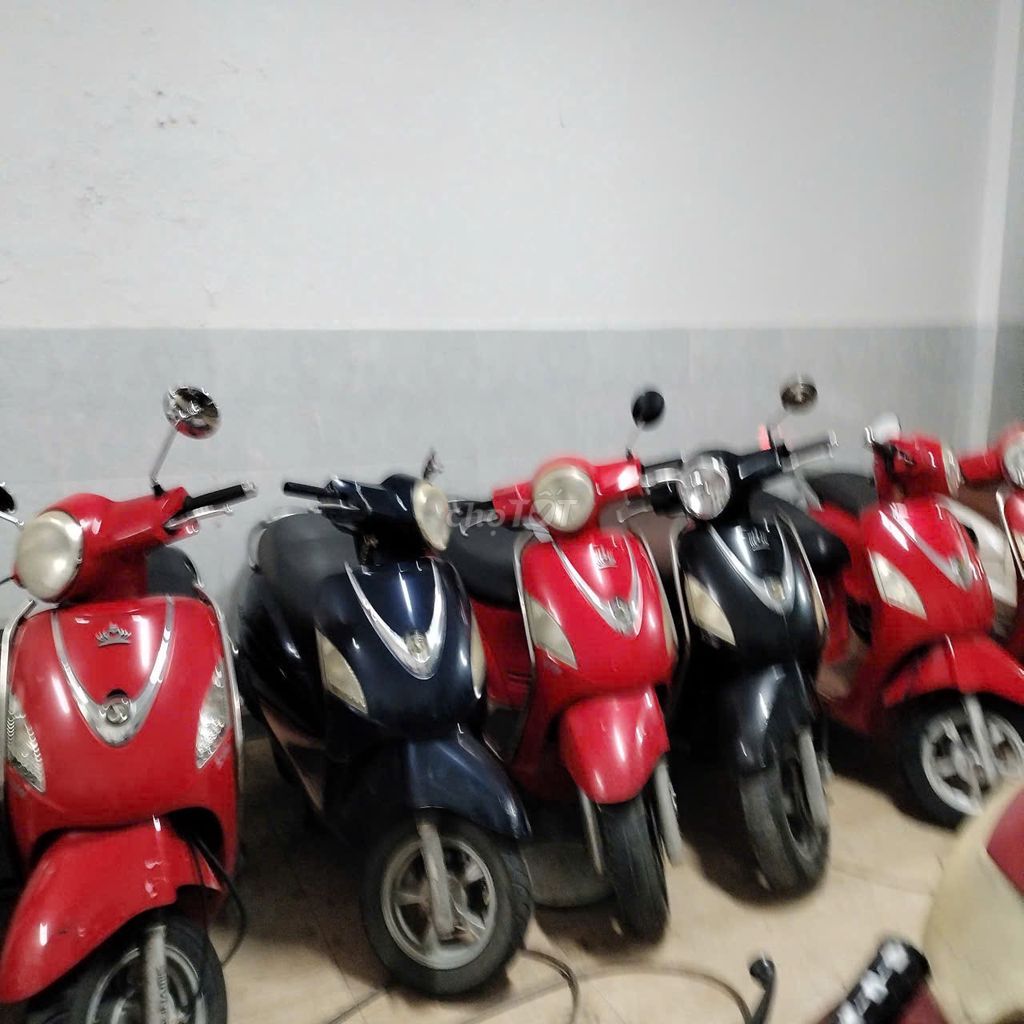 SYM 2011 - ảnh 3