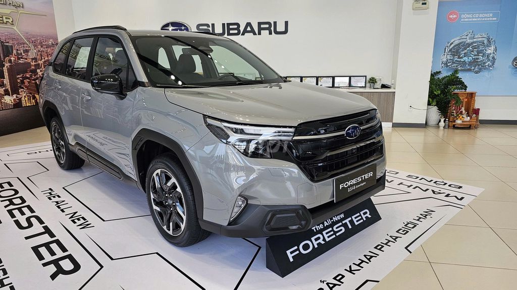Subaru Forester 2025 - ảnh 2