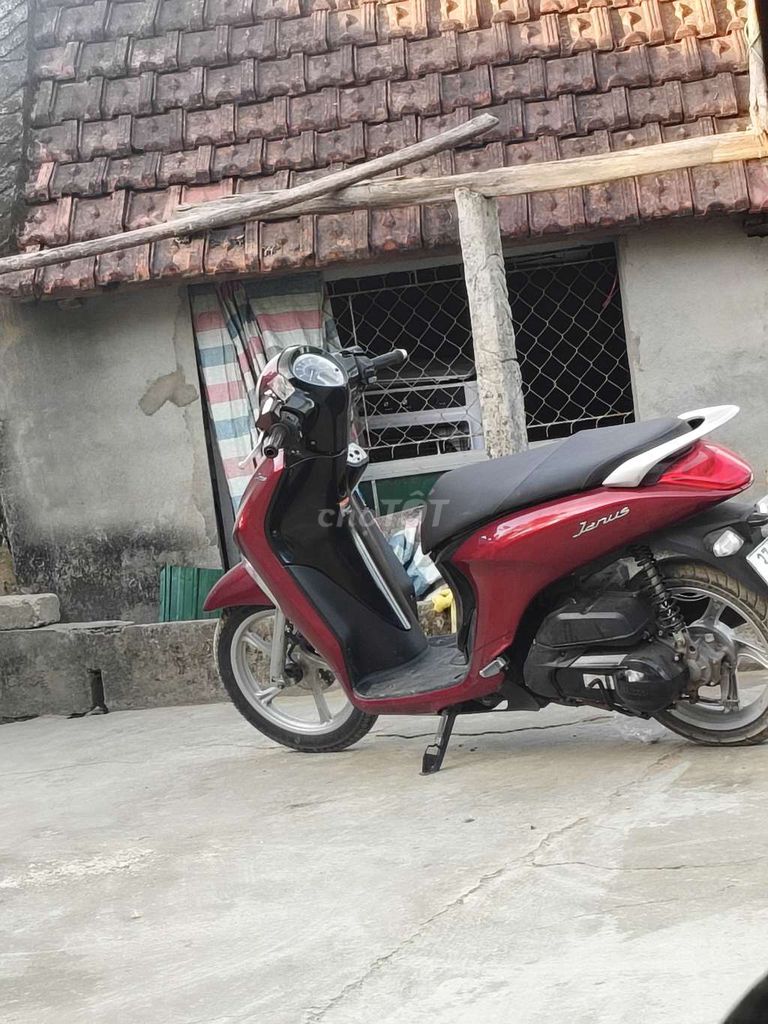 Yamaha Janus 2017 - ảnh 1