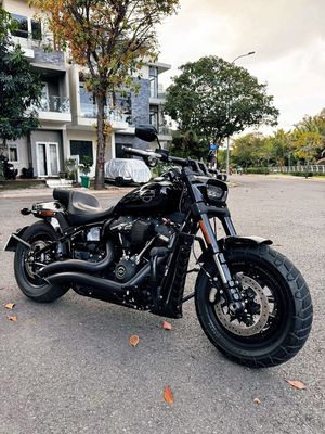 Harley Davidson 2020 - ảnh 1