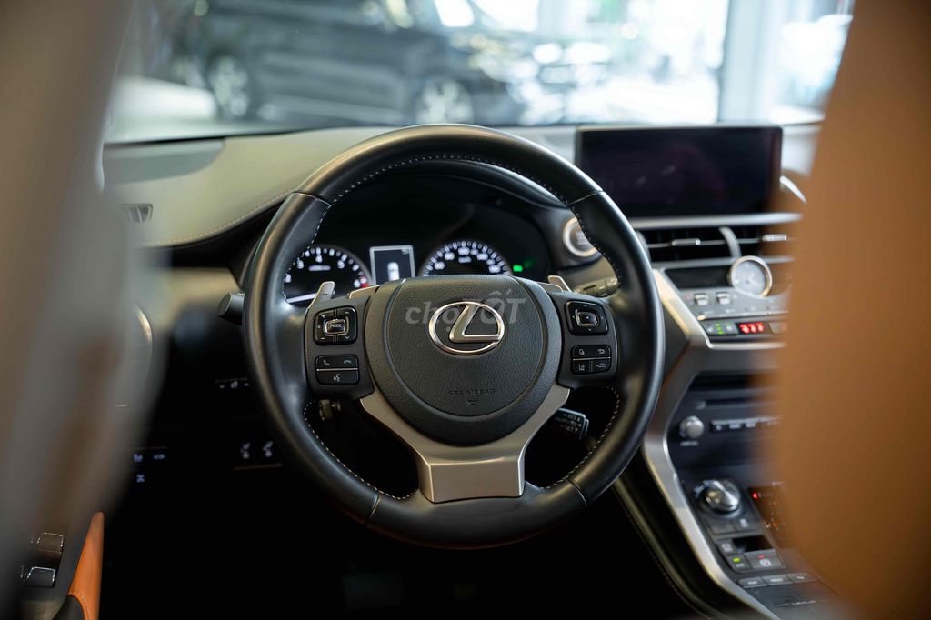 Lexus NX 2021 - ảnh 1