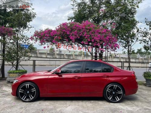 BMW 3 Series 320i 2012 - ảnh 2