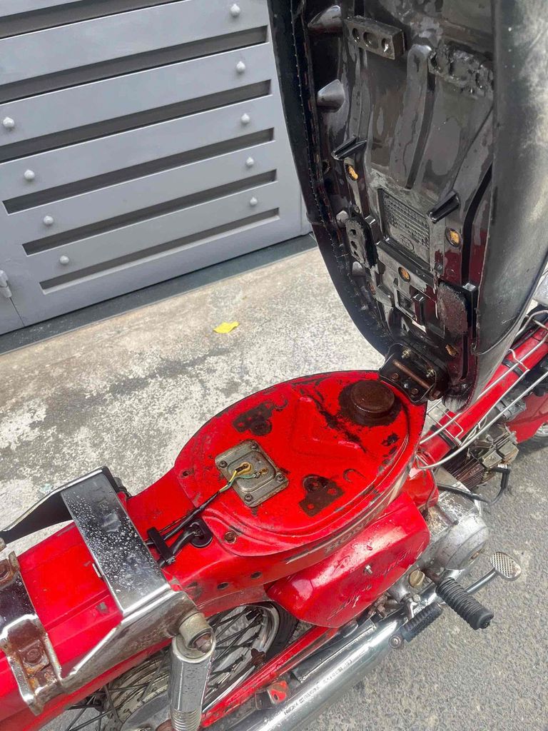 Honda Cub 1991 - ảnh 3