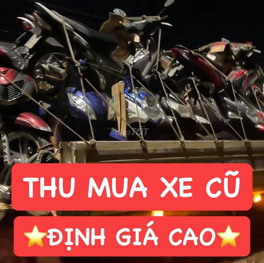 THU MUA 2020 - ảnh 1