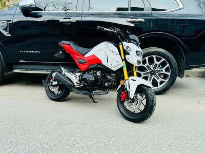 Honda MSX 2022 - ảnh 1