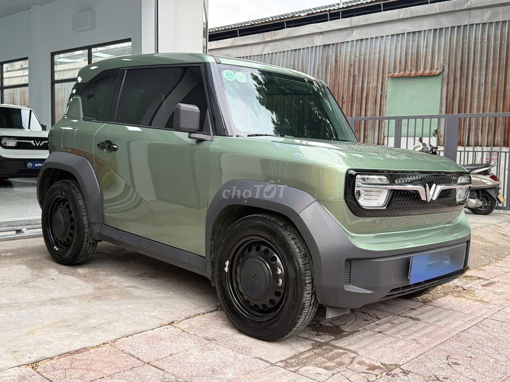 VinFast 2025 - ảnh 1