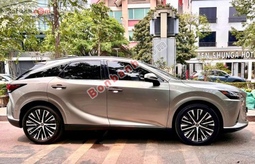 Lexus RX 350 Premium 2024 - ảnh 4
