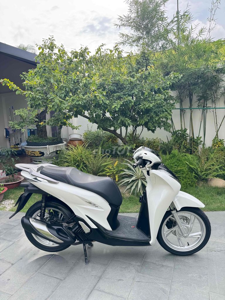 SH 2021 - ảnh 4