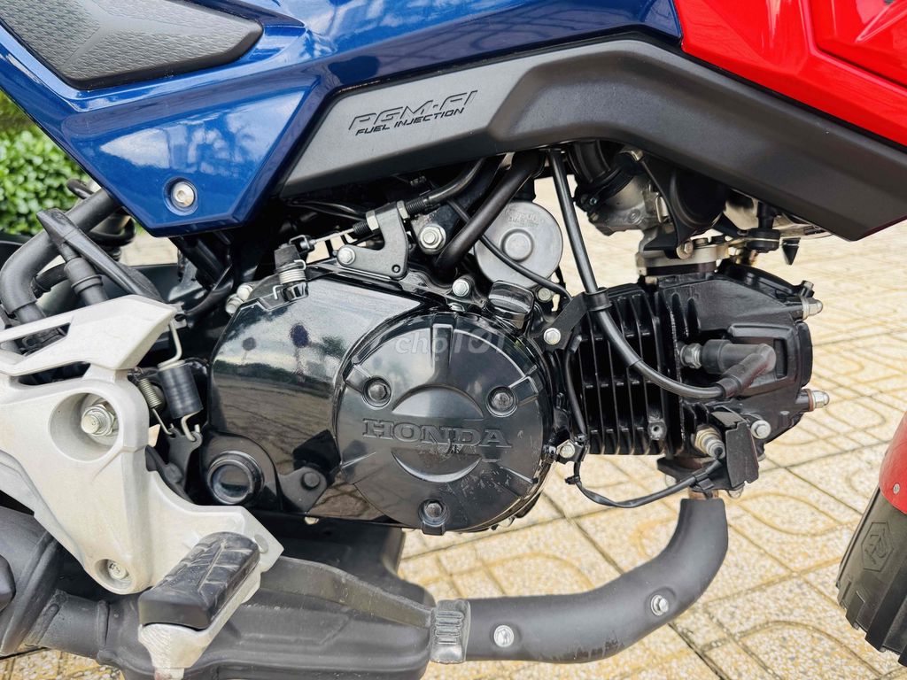 Honda MSX 2025 - ảnh 5