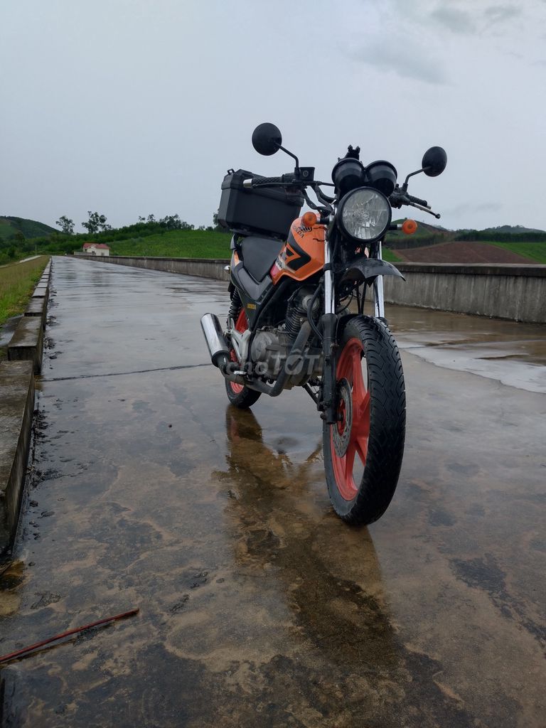 Honda 2010 - ảnh 1