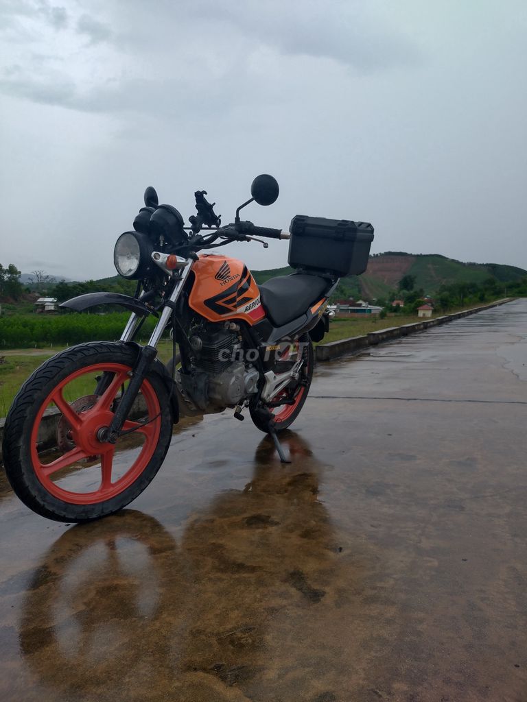 Honda 2010 - ảnh 3