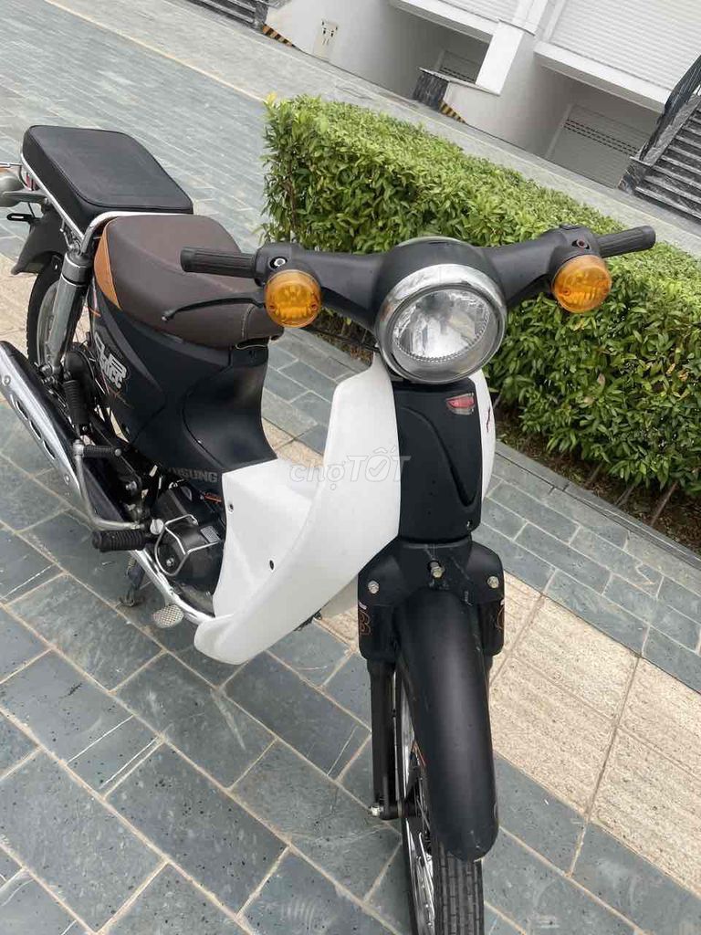 Honda 2022 - ảnh 4