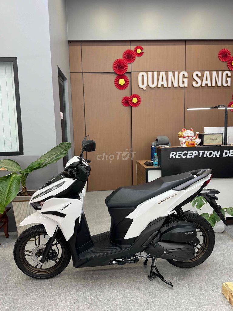 Vario 2025 - ảnh 1