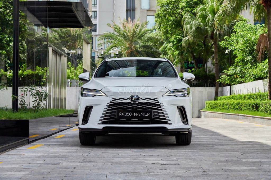 Lexus RX - ảnh 1