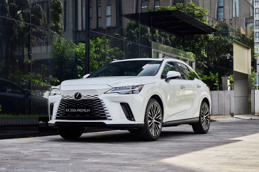 Lexus RX - ảnh 2