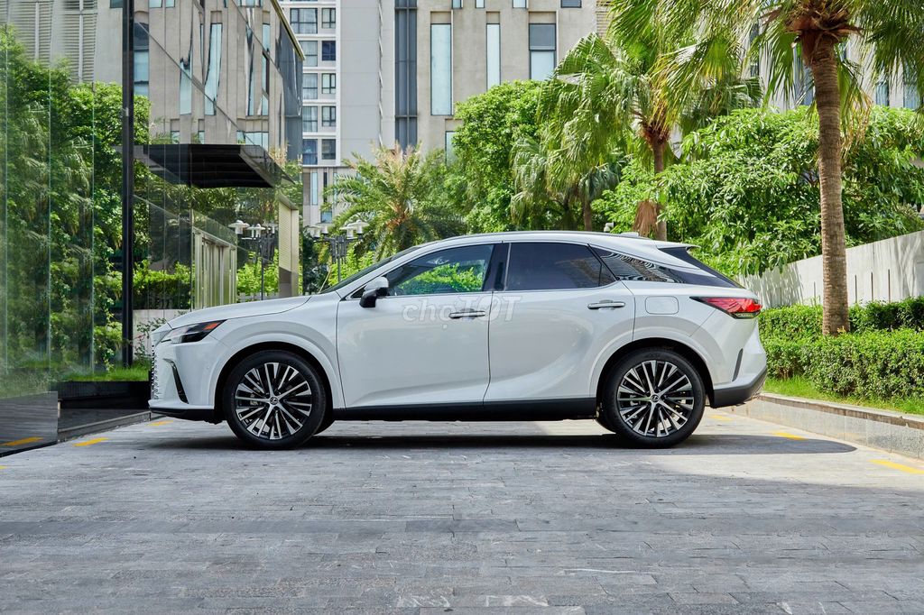 Lexus RX - ảnh 5