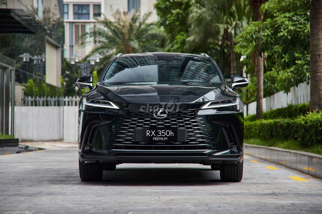 Lexus RX - ảnh 1