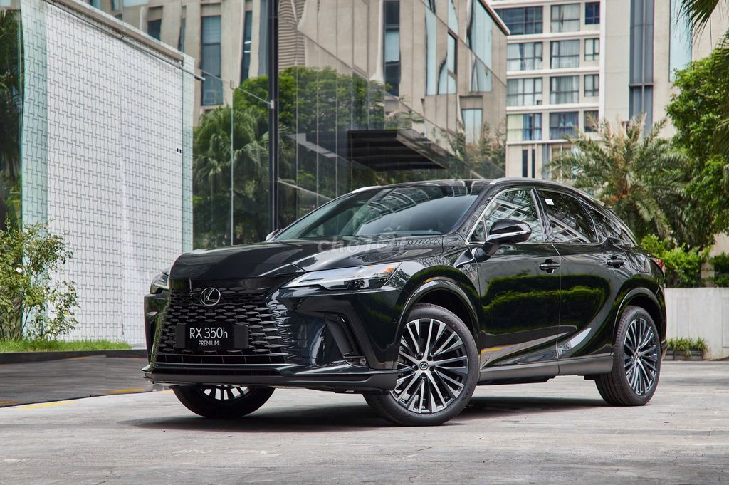 Lexus RX - ảnh 2