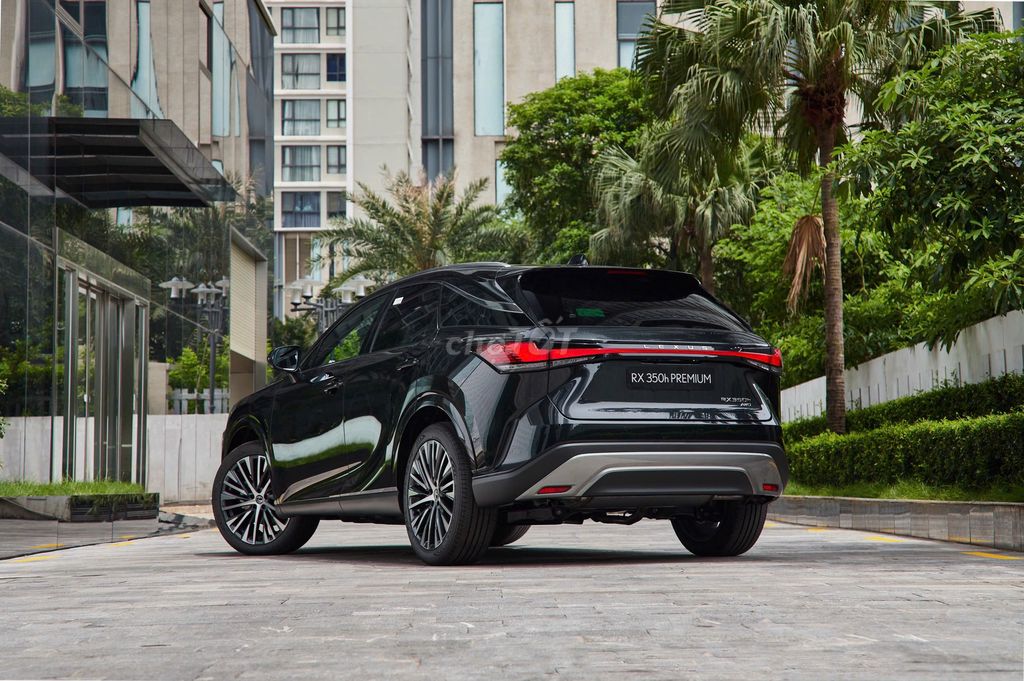 Lexus RX - ảnh 5