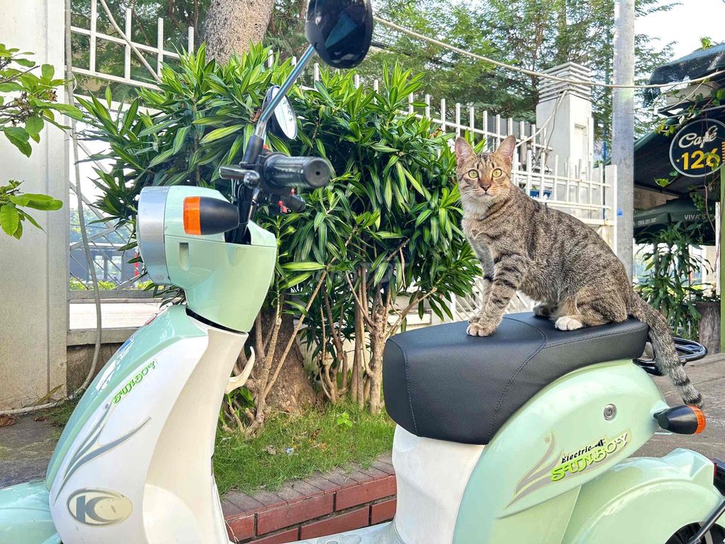 Kymco 2024 - ảnh 1
