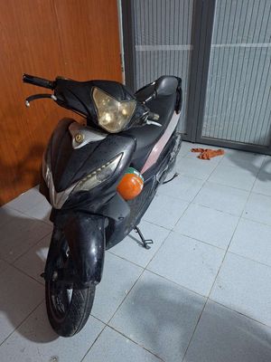 Shark VVB 2010 - ảnh 1