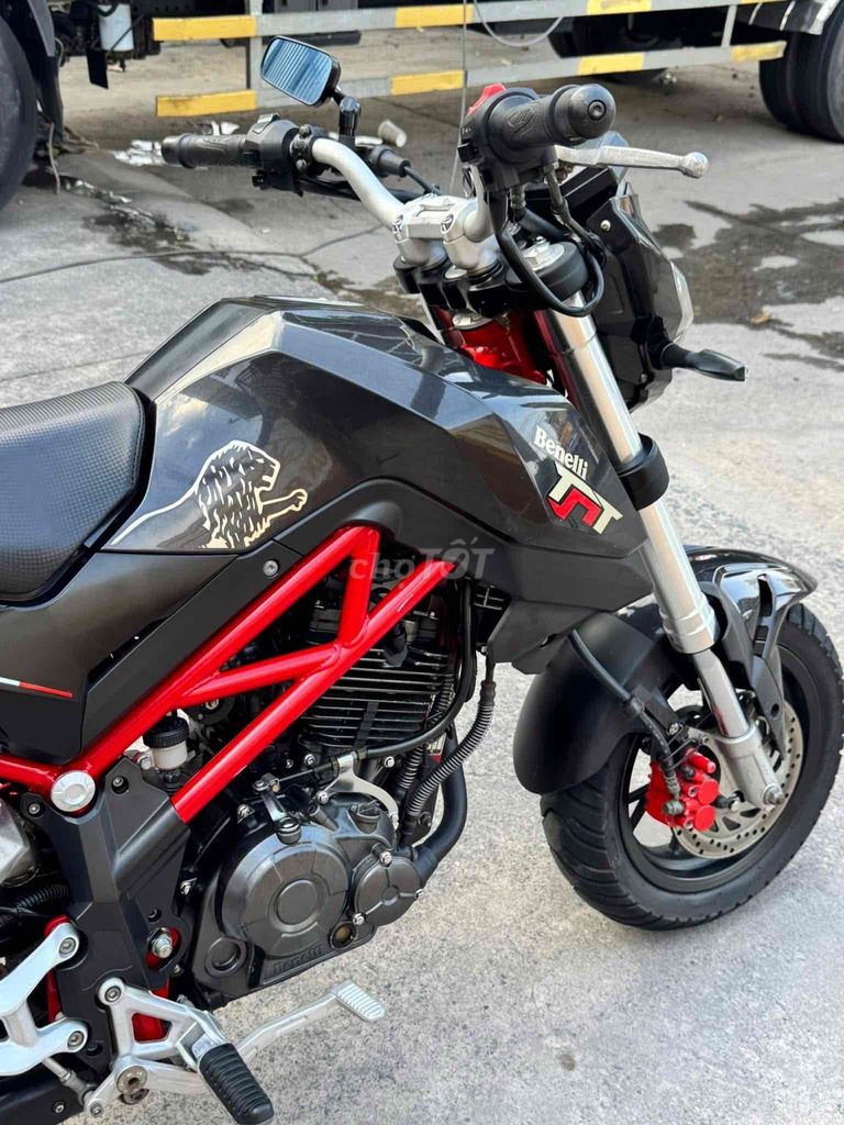 Benelli 2018 - ảnh 4