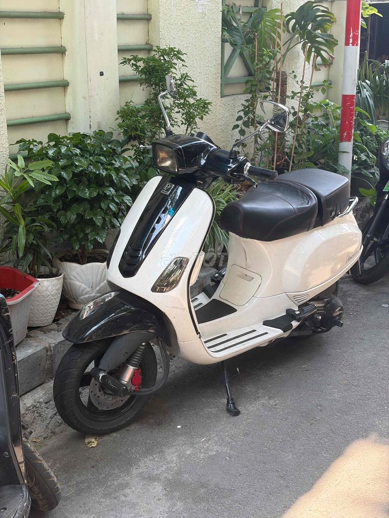 Piaggio Vespa 2010 - ảnh 1