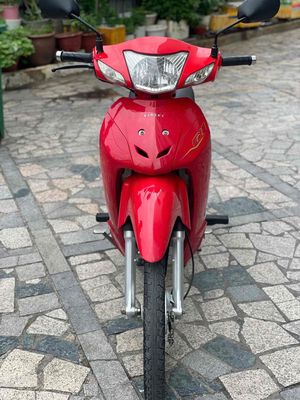 Wave A 2024 - ảnh 1