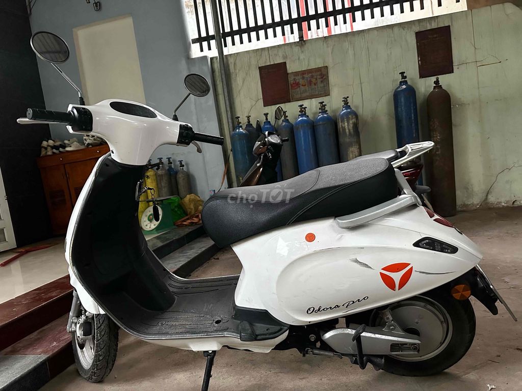 Xe 2023 - ảnh 1