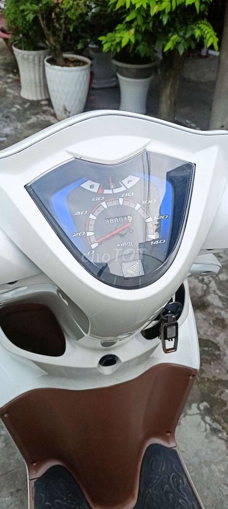 Honda Vision 2013 - ảnh 3
