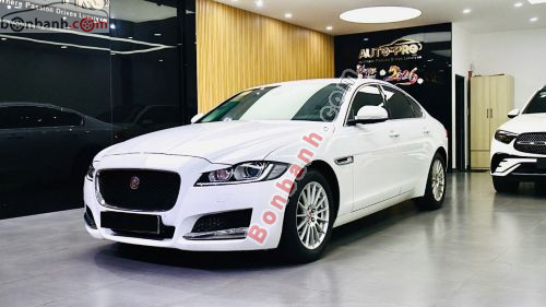 Jaguar XF 2.0 AT 2016 - ảnh 2