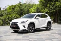 Lexus NX 300 2021 - ảnh 1