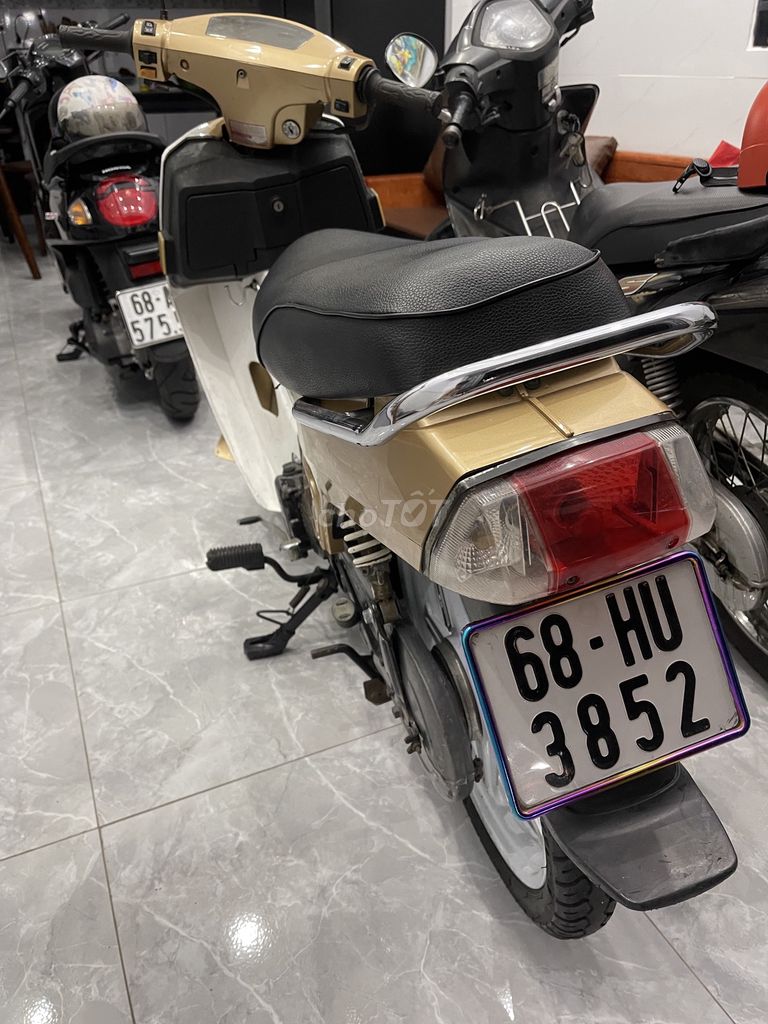 Xe m 2010 - ảnh 1